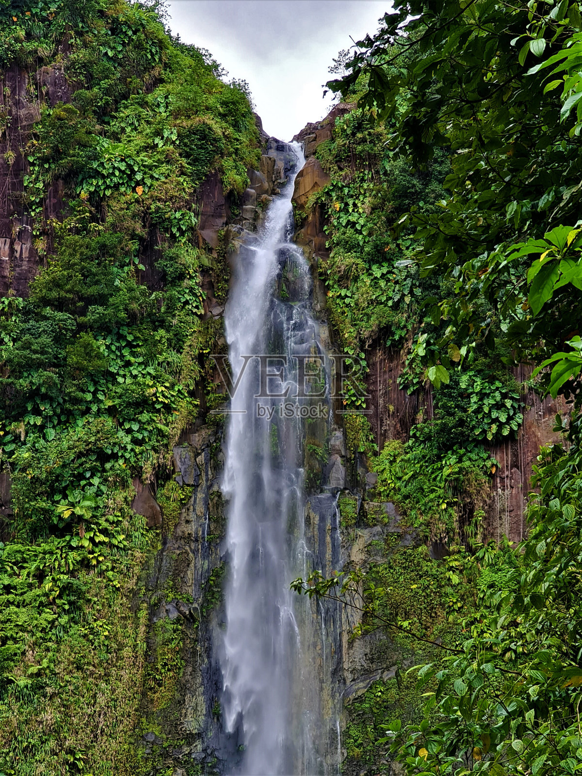 Carbet瀑布1号照片摄影图片