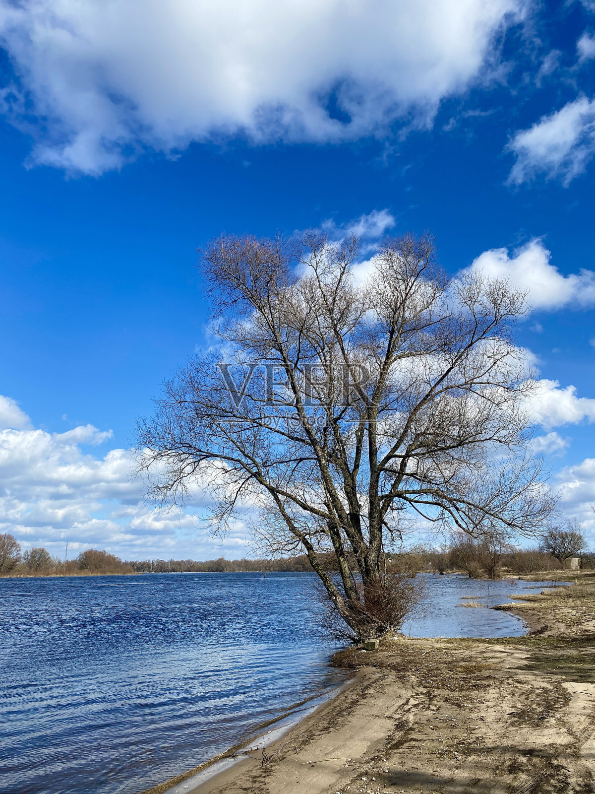 Narew河照片摄影图片