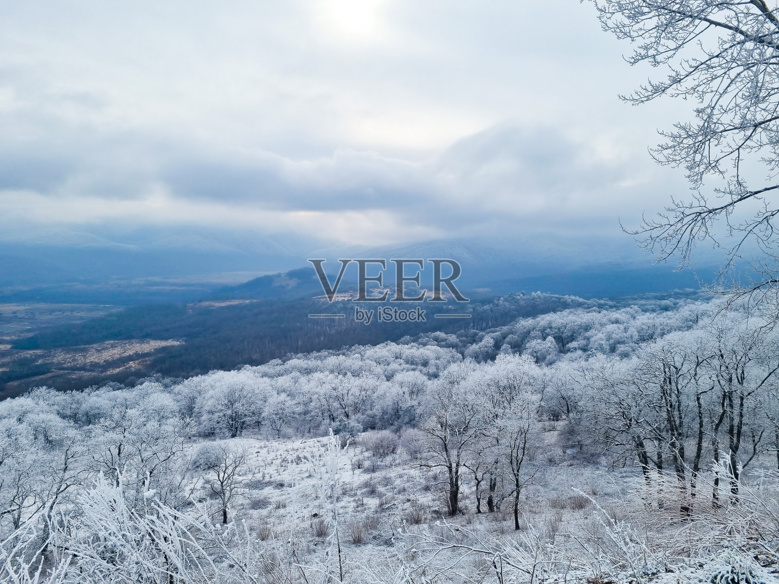 冬季山地景观。森林和山脉被白雪覆盖。照片摄影图片