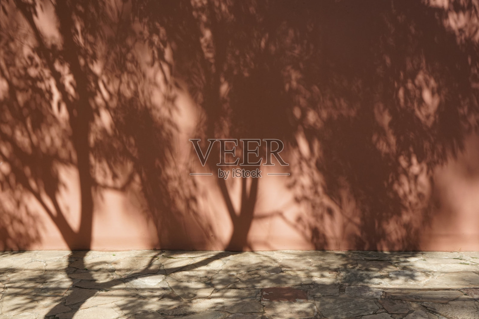 墙上和人行道上的树影。街。米色浅棕色。背景。3d渲染。产品空间。照片摄影图片