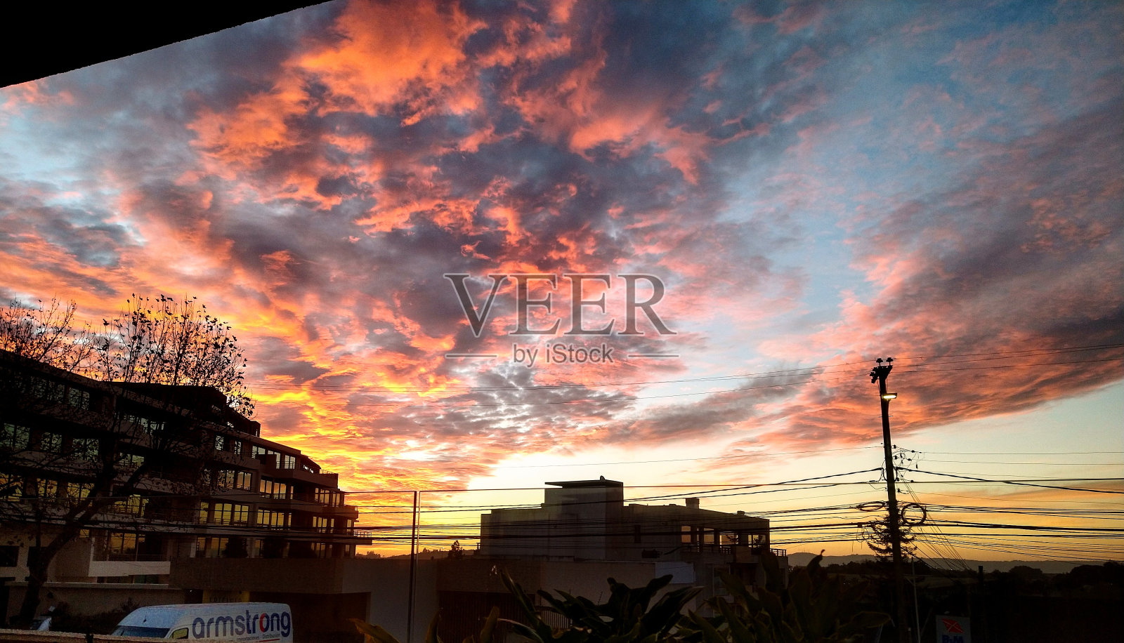 自然的细节照片摄影图片