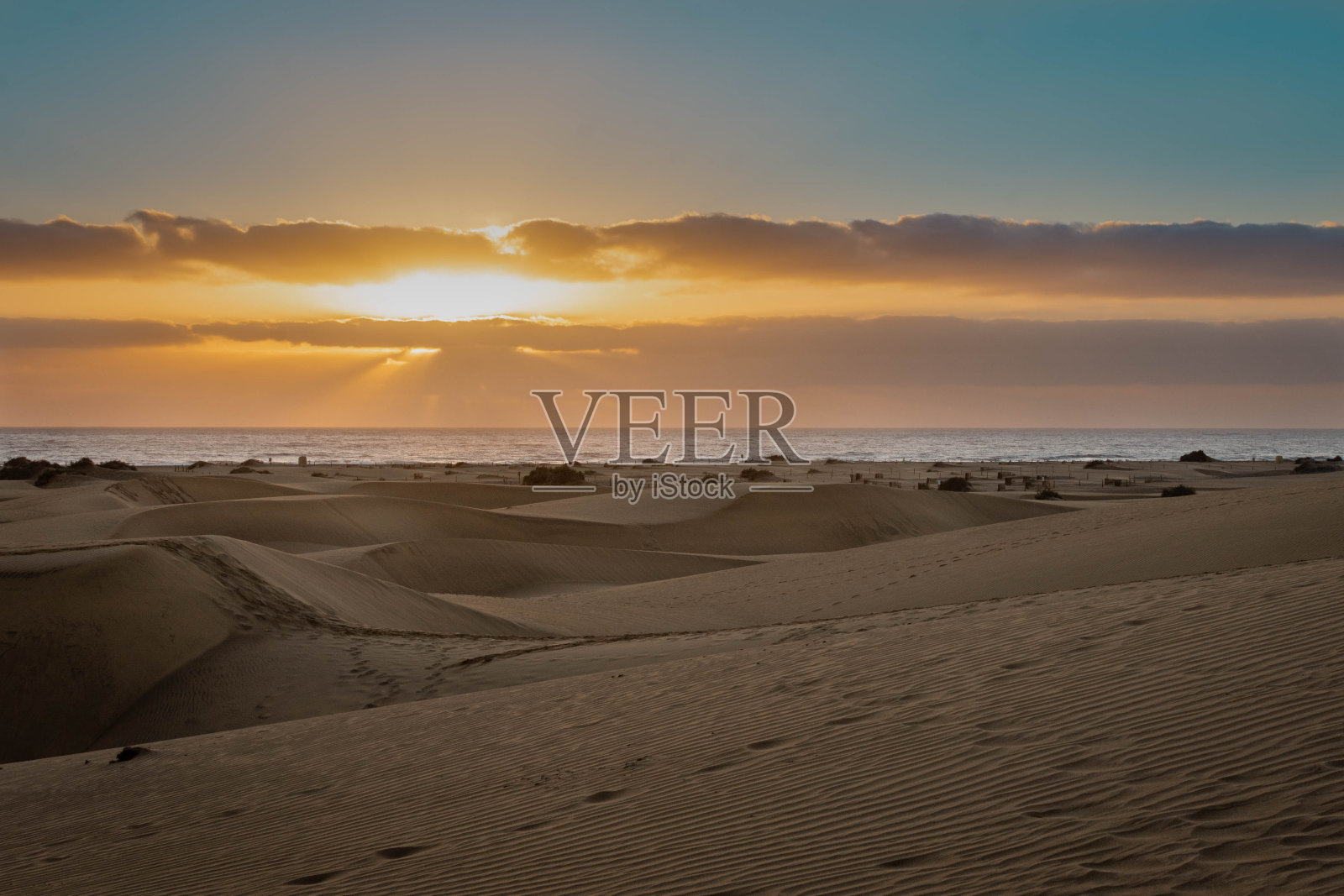 海边沙丘上的黎明照片摄影图片