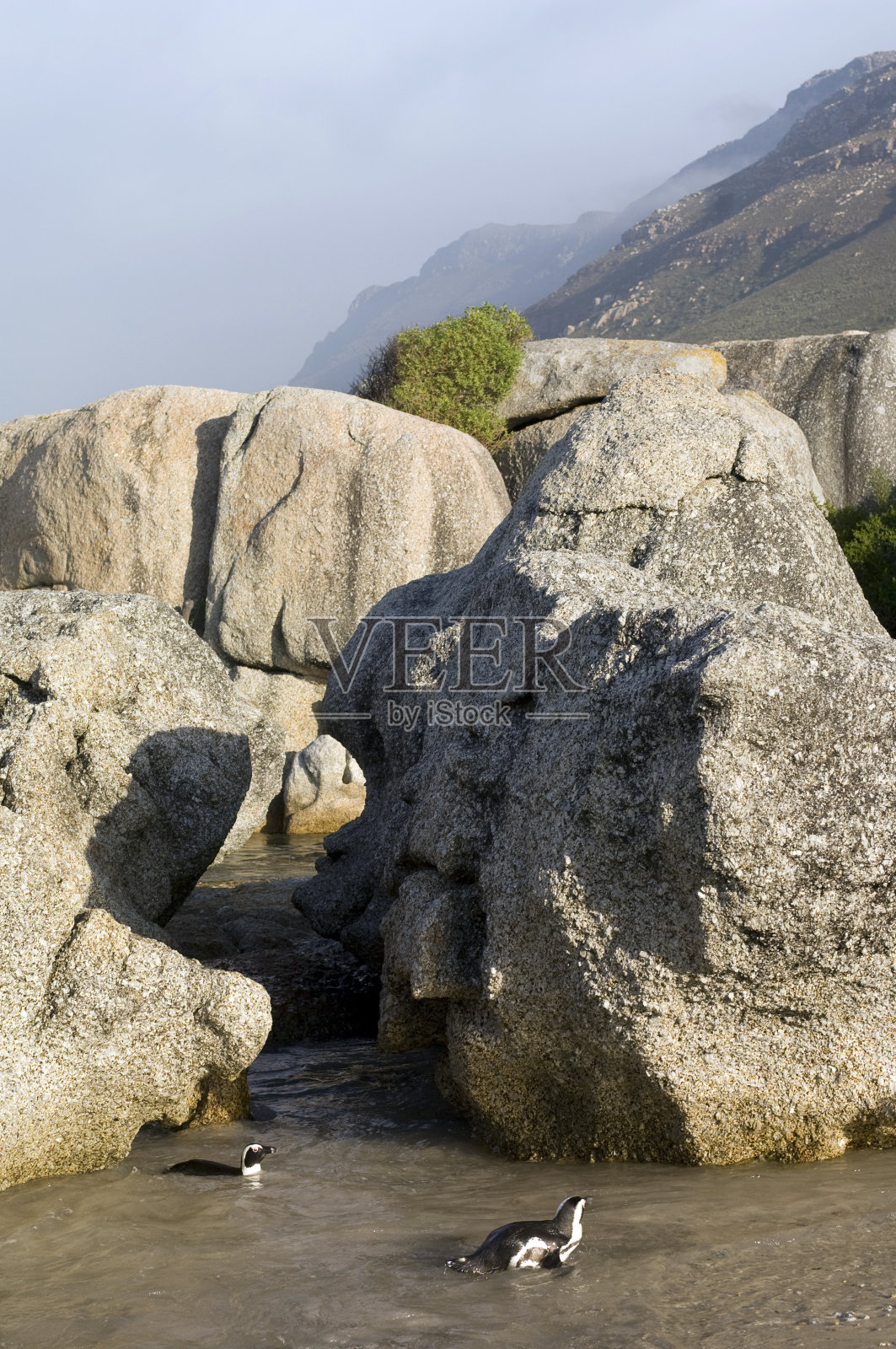 南非，旅游目的地。照片摄影图片