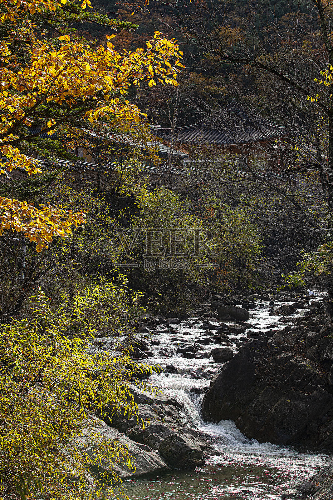 景观照片摄影图片