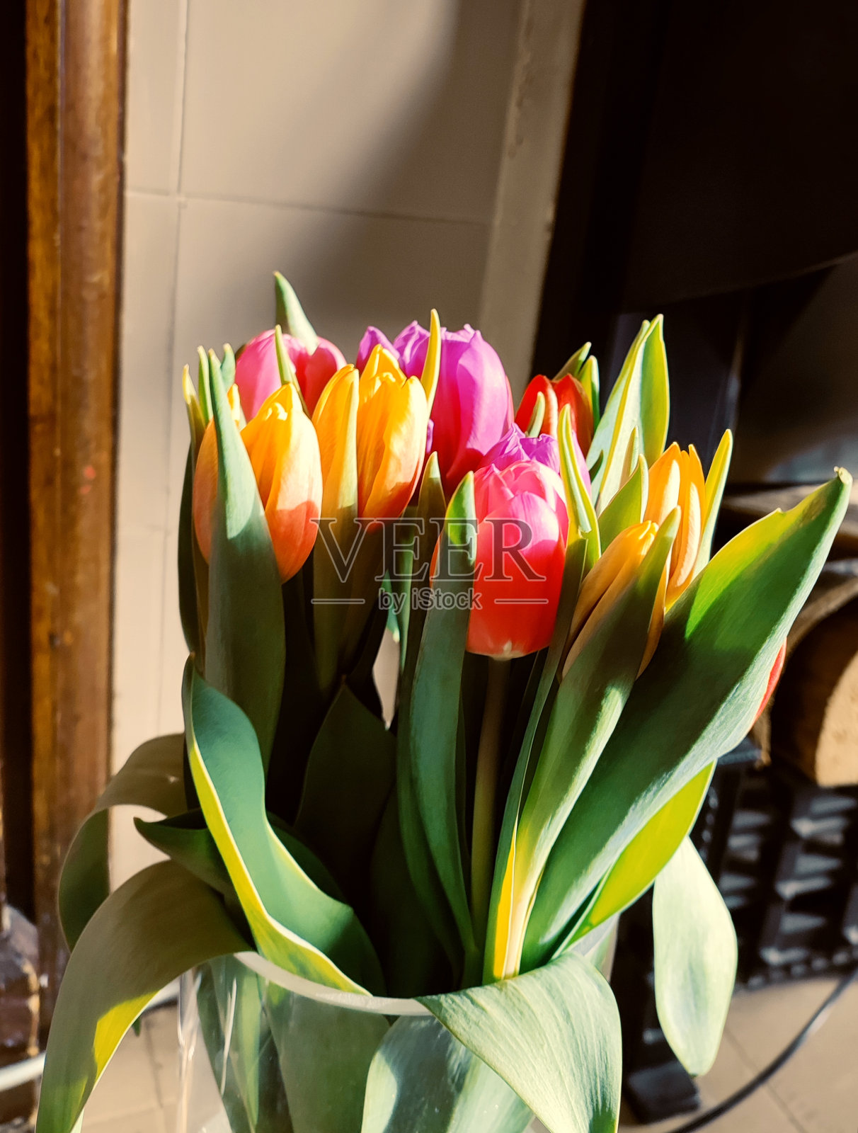 彩色郁金香花束在玻璃花瓶在苏格兰格拉斯哥英格兰照片摄影图片