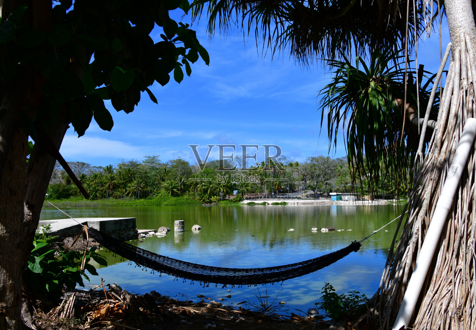 Buada泻湖，Arenibek，瑙鲁，水边吊床照片摄影图片