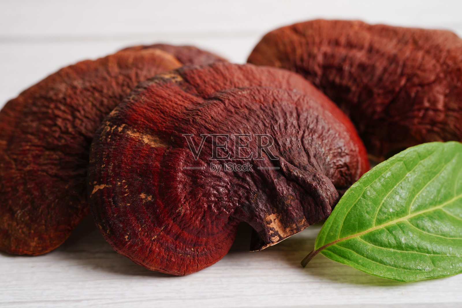 灵芝或灵芝胶囊，有机天然健康食品。照片摄影图片