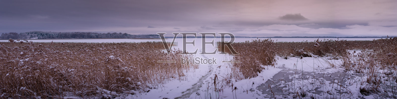 冬天结冰的湖与海岸芦苇和小径下多云的天空在傍晚黄昏。宽屏全景视图照片摄影图片