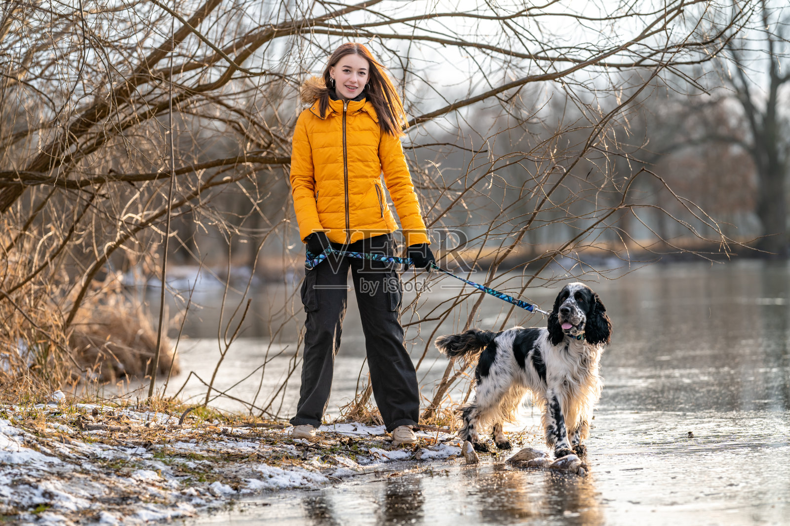 一个女孩带着一只狗在冰冻的湖边。英语setter照片摄影图片