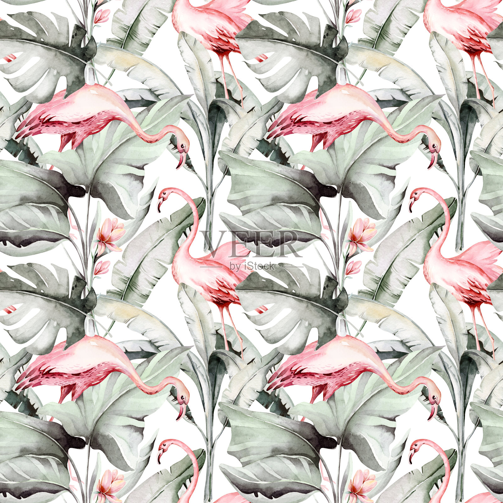 热带水彩鸟类蜂鸟，猴子和美洲虎，异国情调的丛林植物棕榈香蕉叶花，火烈鸟粉彩无缝图案织物背景插画图片素材