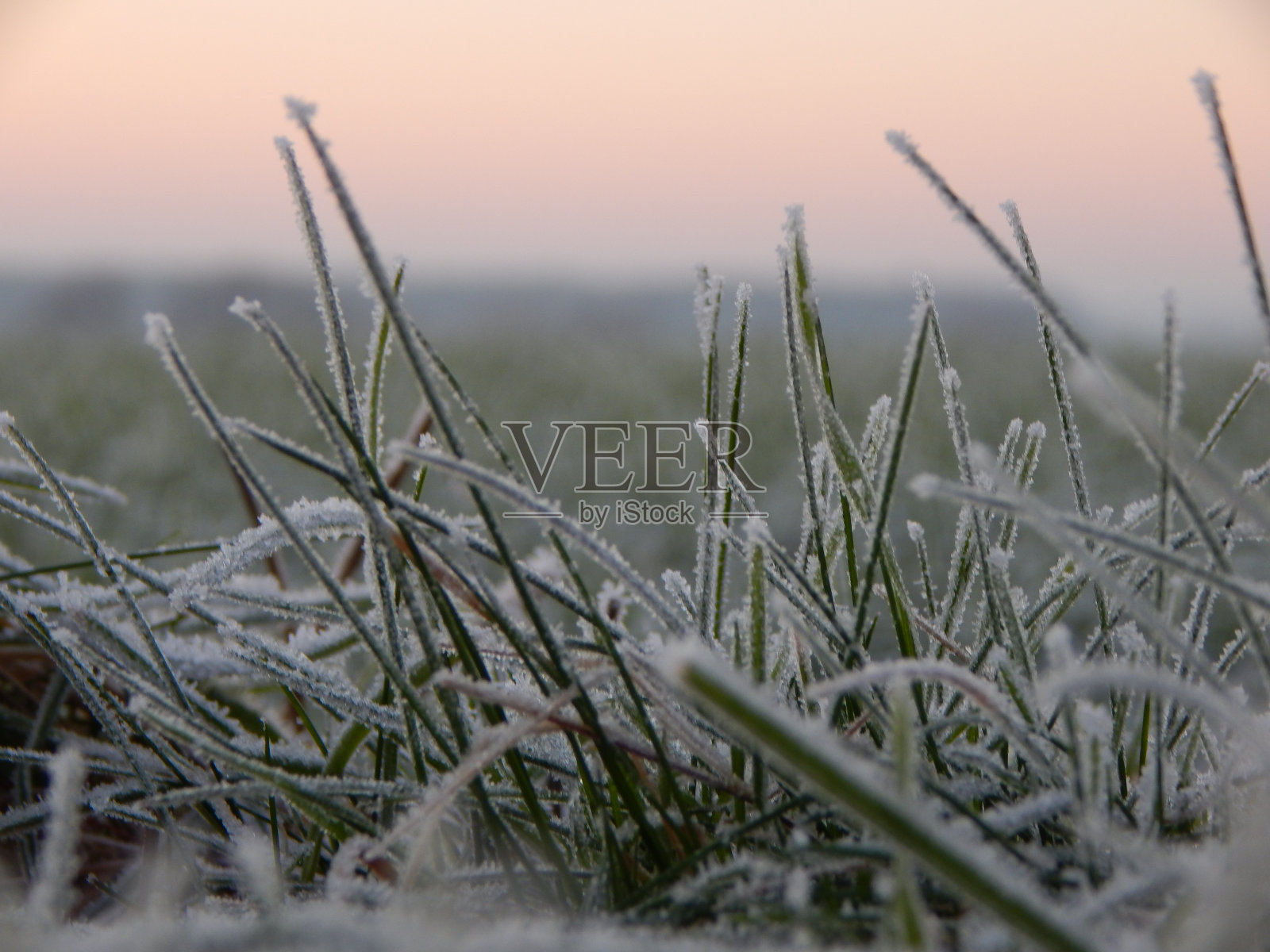 春天德国北部美丽自然的自然摄影照片摄影图片