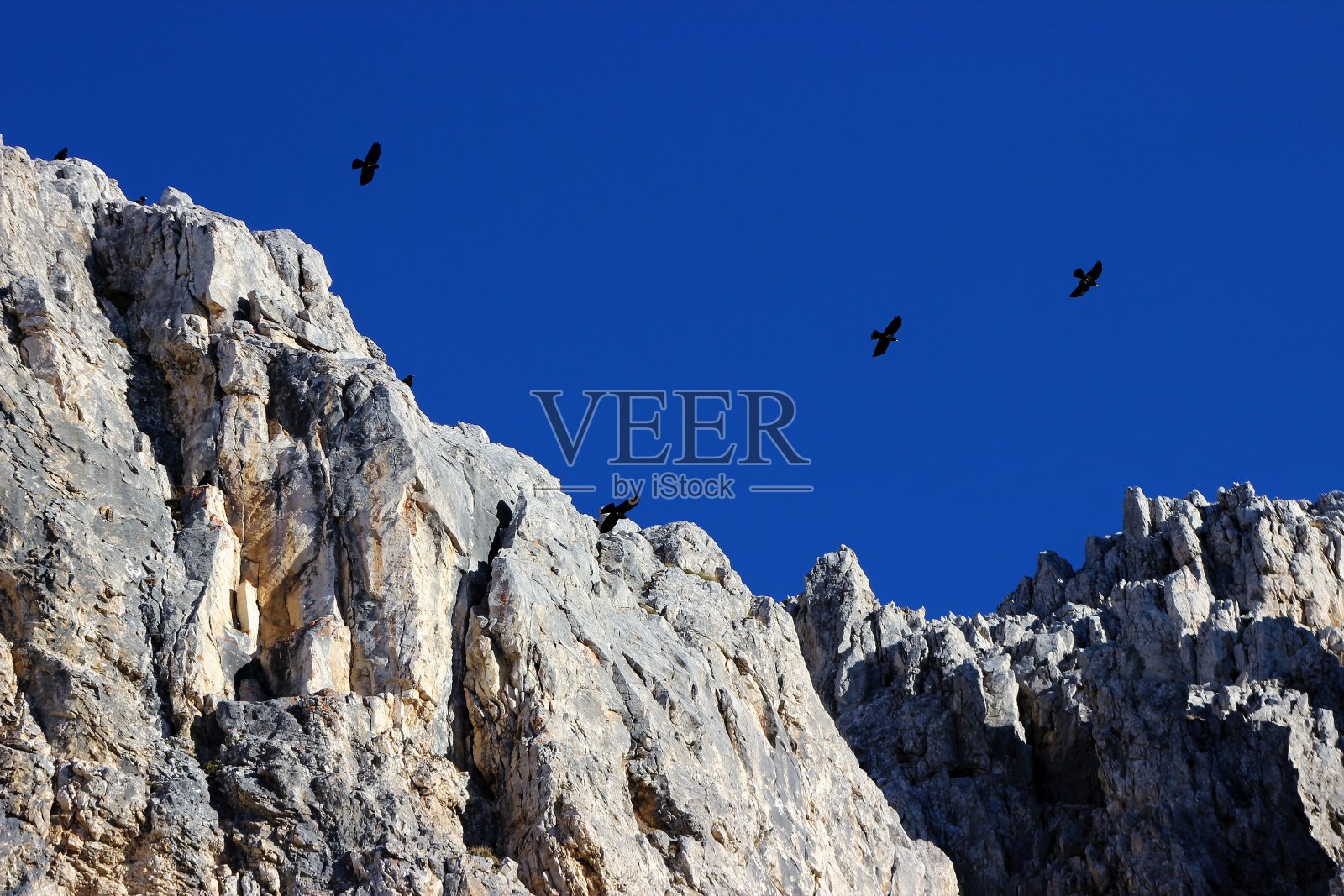 法萨山谷的白云石山，有雪和鸟照片摄影图片