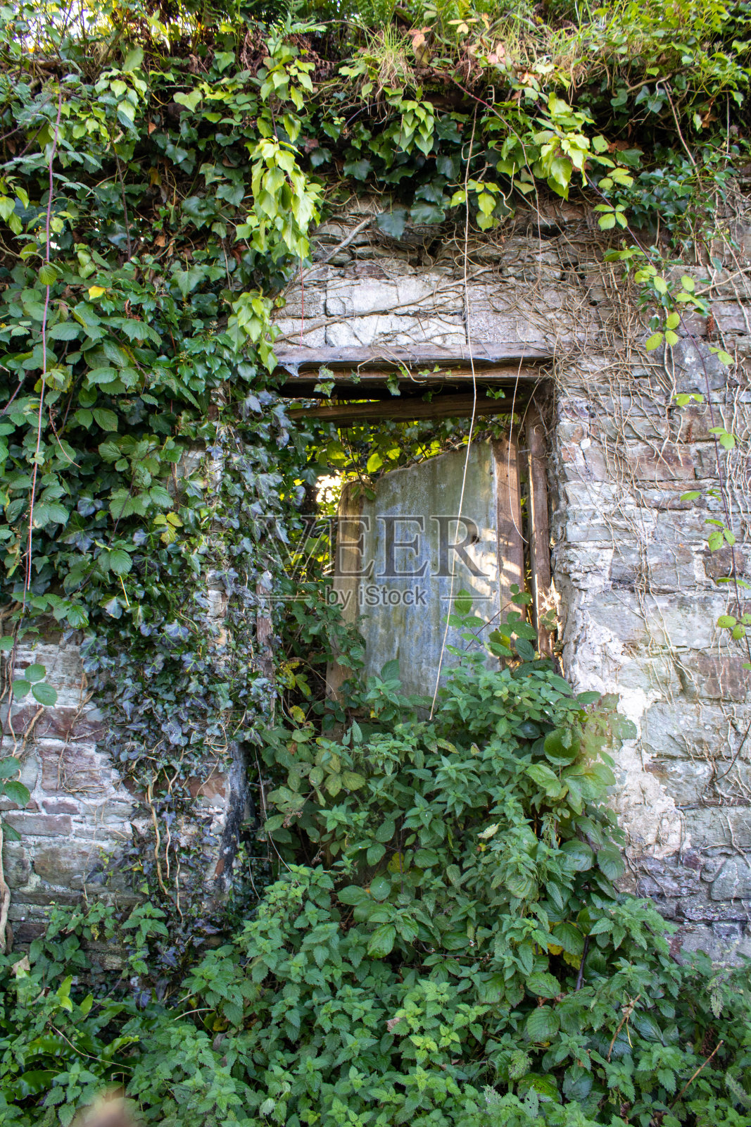 爱尔兰西部饥荒时期建造的废弃石头小屋照片摄影图片