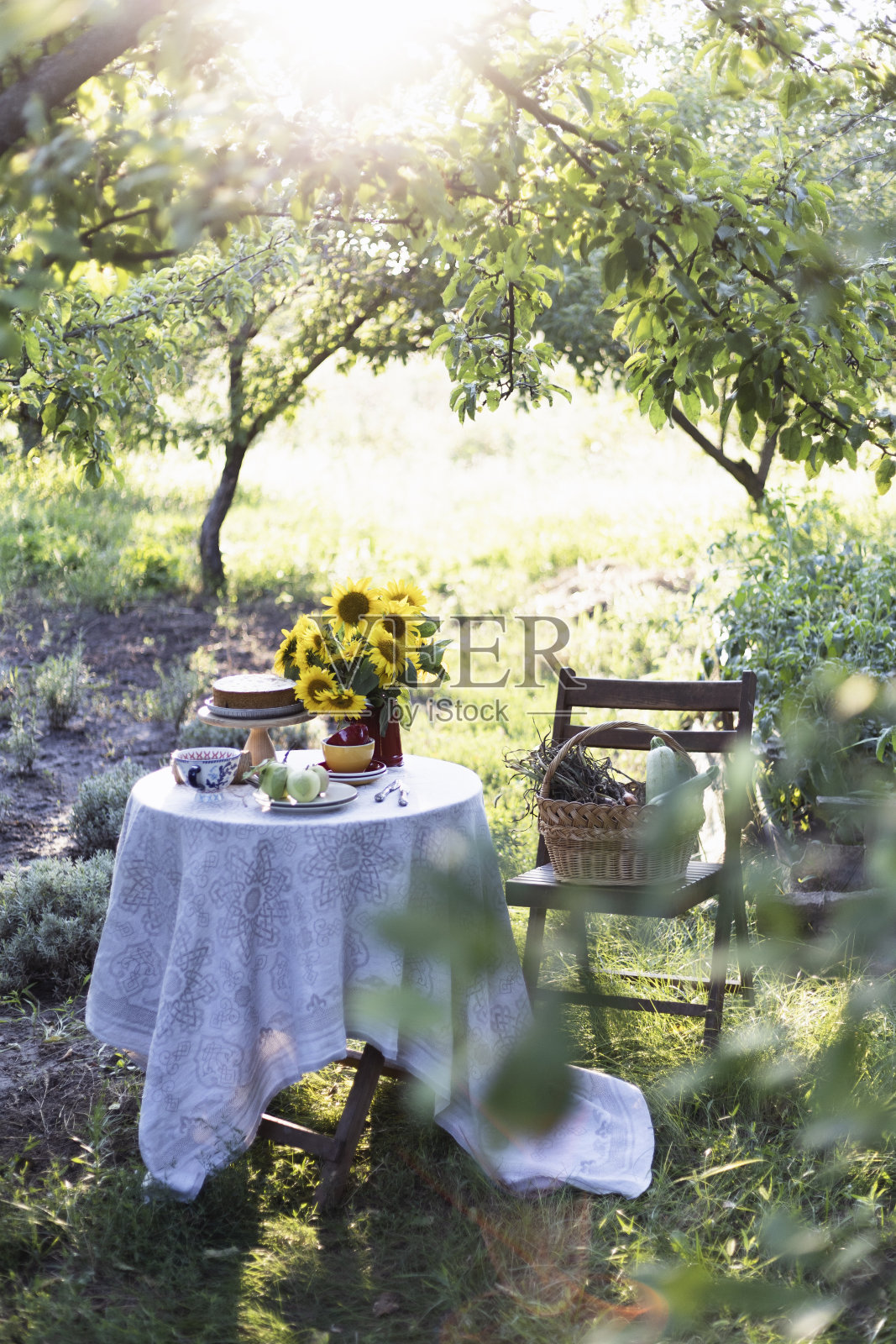 花园和静物照片摄影图片