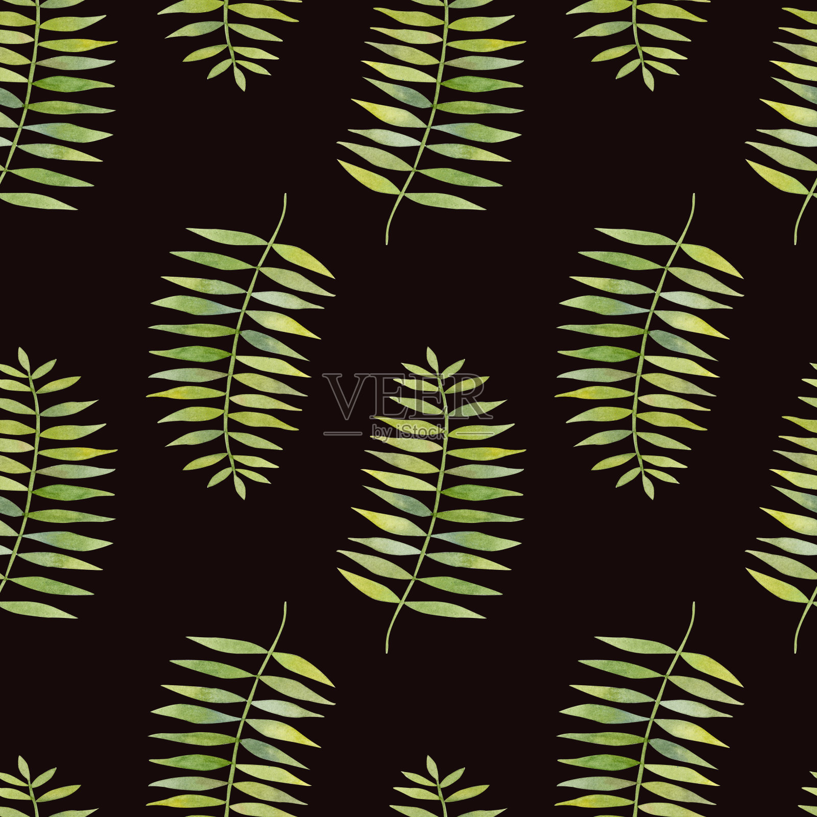 优雅的无缝图案，水彩画的枝叶。插画图片素材