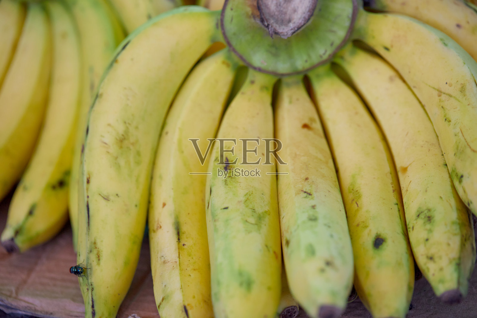 一串成熟的香蕉在市场上出售照片摄影图片