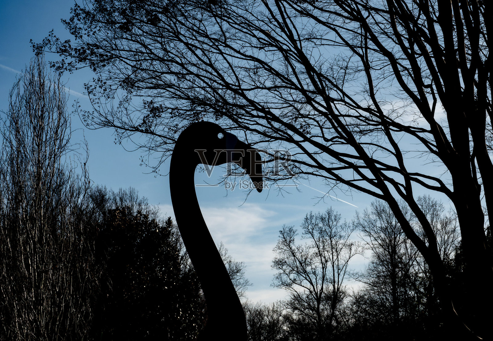 下午晚些时候的剪影花园装饰照片摄影图片