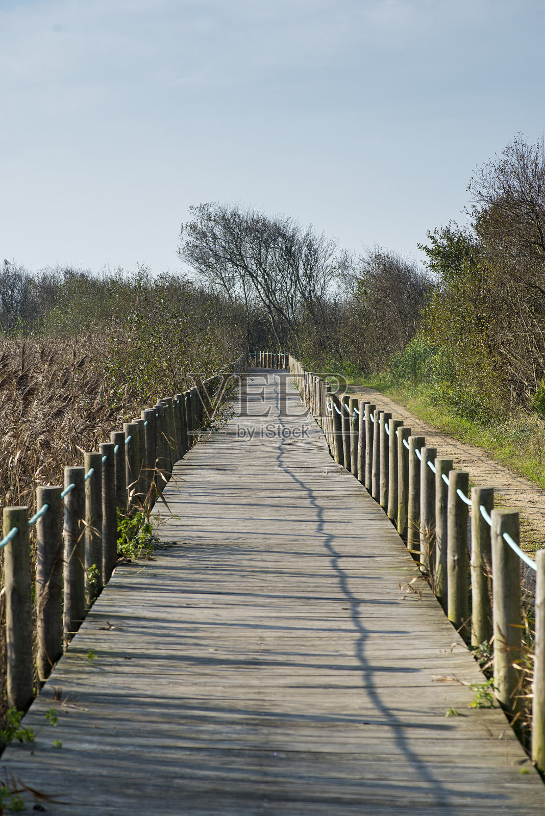 葡萄牙埃斯皮尼奥国家自然保护区埃斯莫里兹的Barrinha照片摄影图片