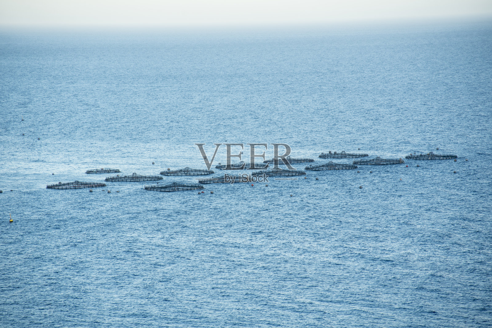 养殖海鲷和鲈鱼的海鱼养殖场照片摄影图片