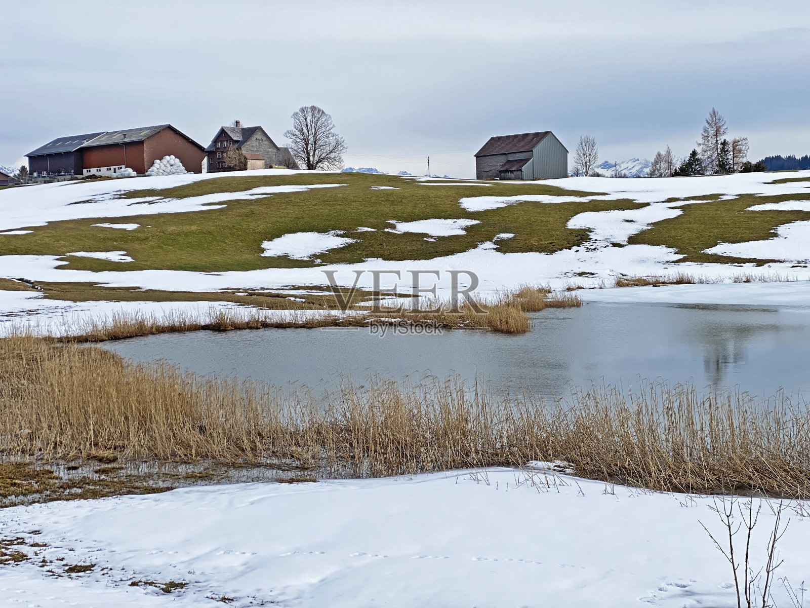 自然湖Schönenbodensee（Schoennenbodense或Schoennebodensee）或Schönebodesee（Schonenbodensee）位于阿尔卑斯山脉，位于瑞士圣加仑州Wildhaus的Obertogenburg山谷上方照片摄影图片