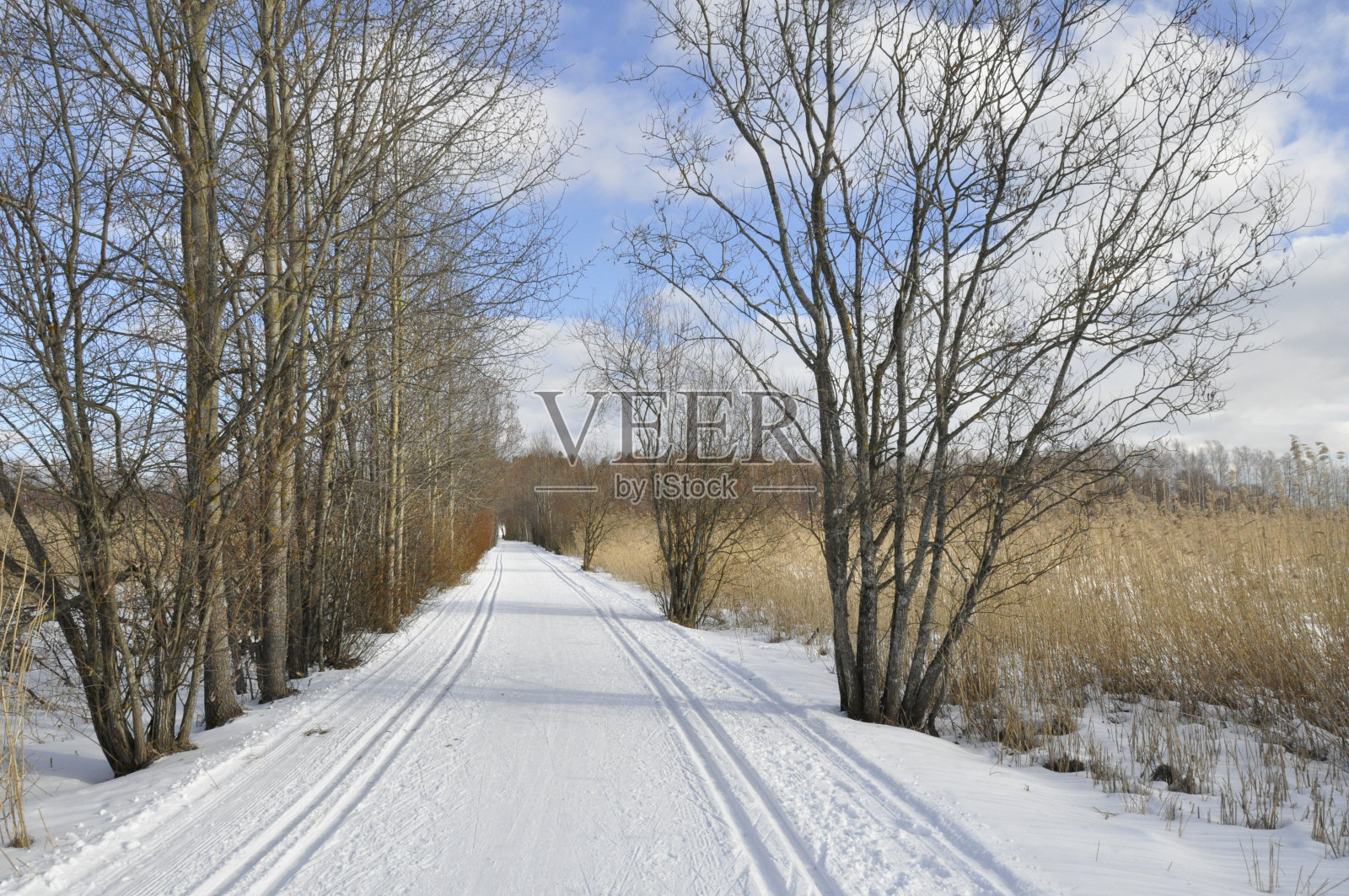 冬季道路照片摄影图片