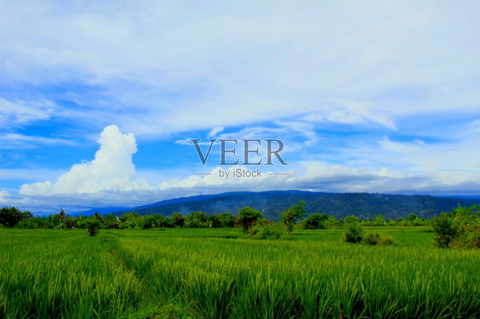 蓝天白云照片摄影图片