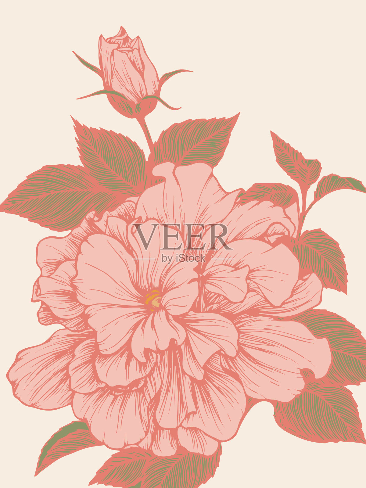 绚丽花卉树叶边框装饰花卉背景扁平矢量插画插画图片素材