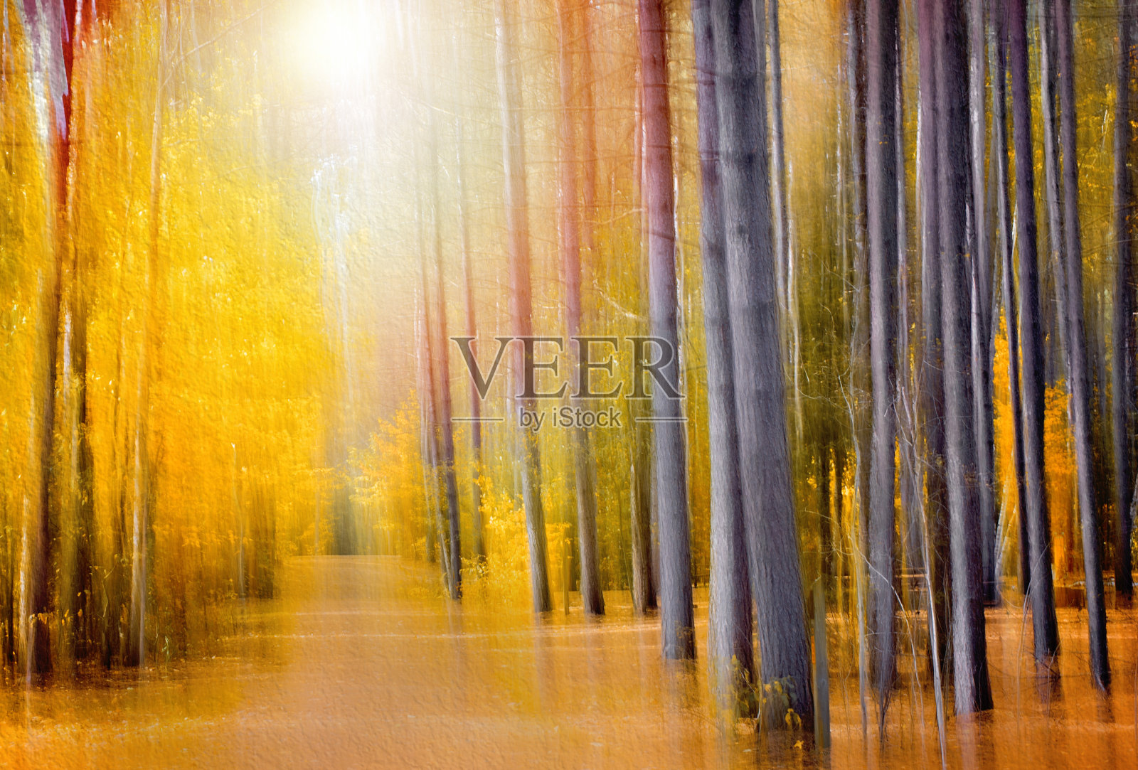 秋天照片摄影图片