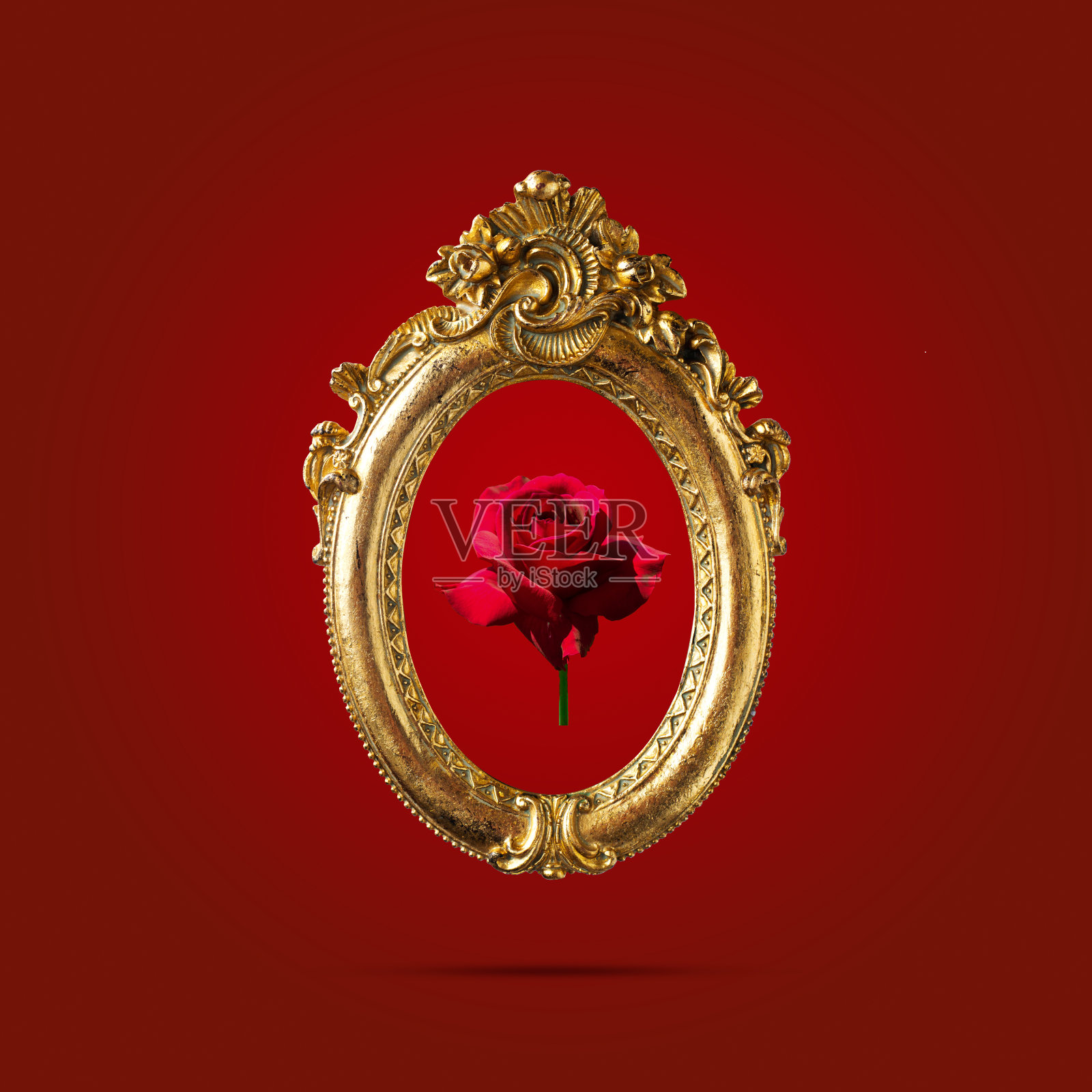 美丽的金色巴洛克框架，与红玫瑰内部，与栗色背景;极简的花，爱，时尚的概念照片摄影图片