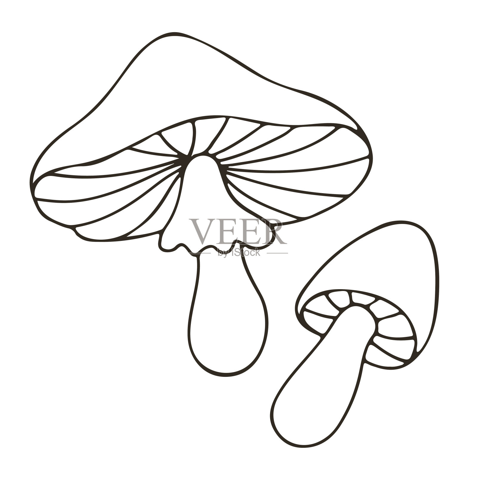 秋天。手绘风格的单色插图插画图片素材