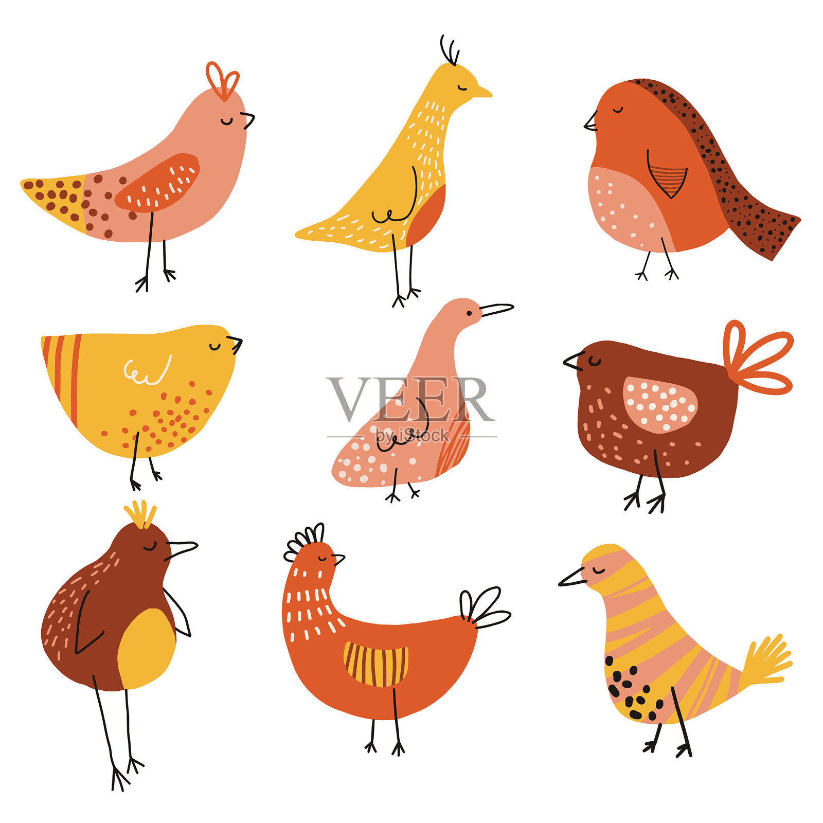 收集矢量手绘鸟类。动画设置插画图片素材