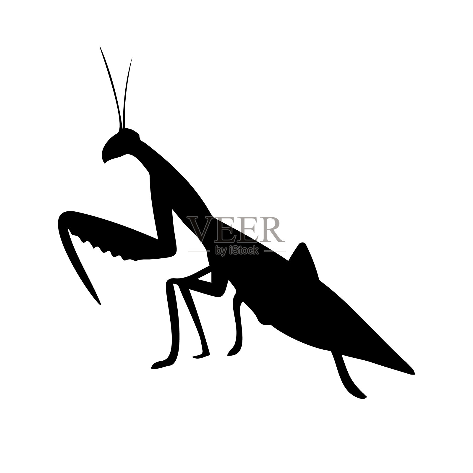 矢量手绘涂鸦素描螳螂剪影插画图片素材