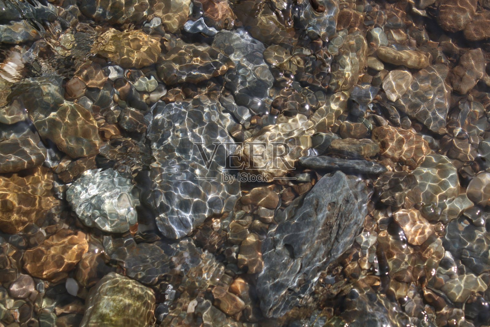 浅水区。照片摄影图片