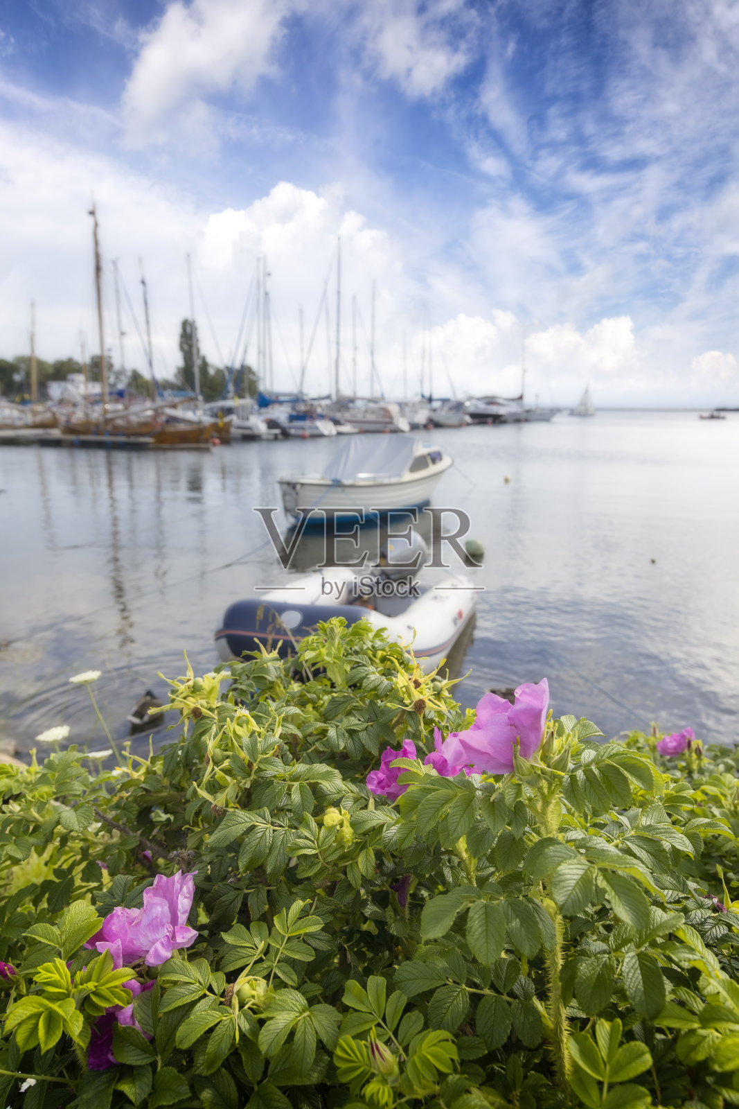 波兰假期-波罗的海沿岸的贾斯塔尼亚，一个赫尔半岛上的小旅游村庄照片摄影图片