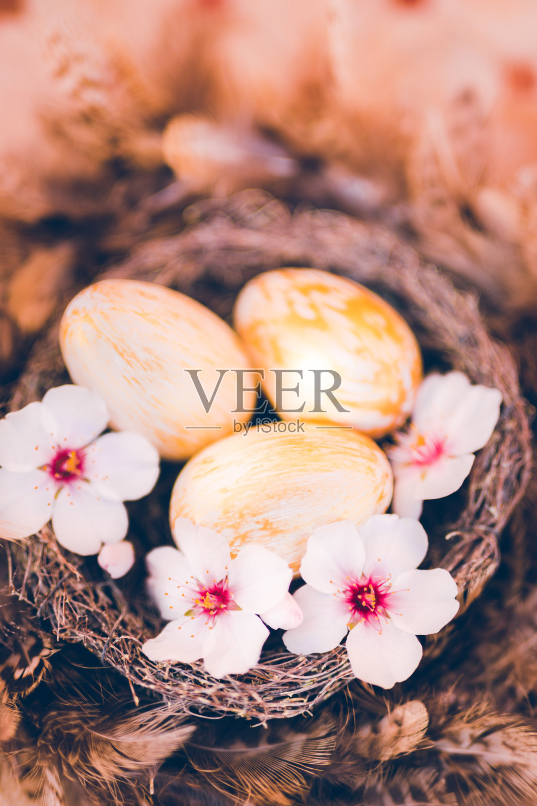 复活节静物，三个金色的复活节彩蛋在杏仁花之间，在一个棕色的巢中，周围是棕色的羽毛，顶部有一些复制空间照片摄影图片