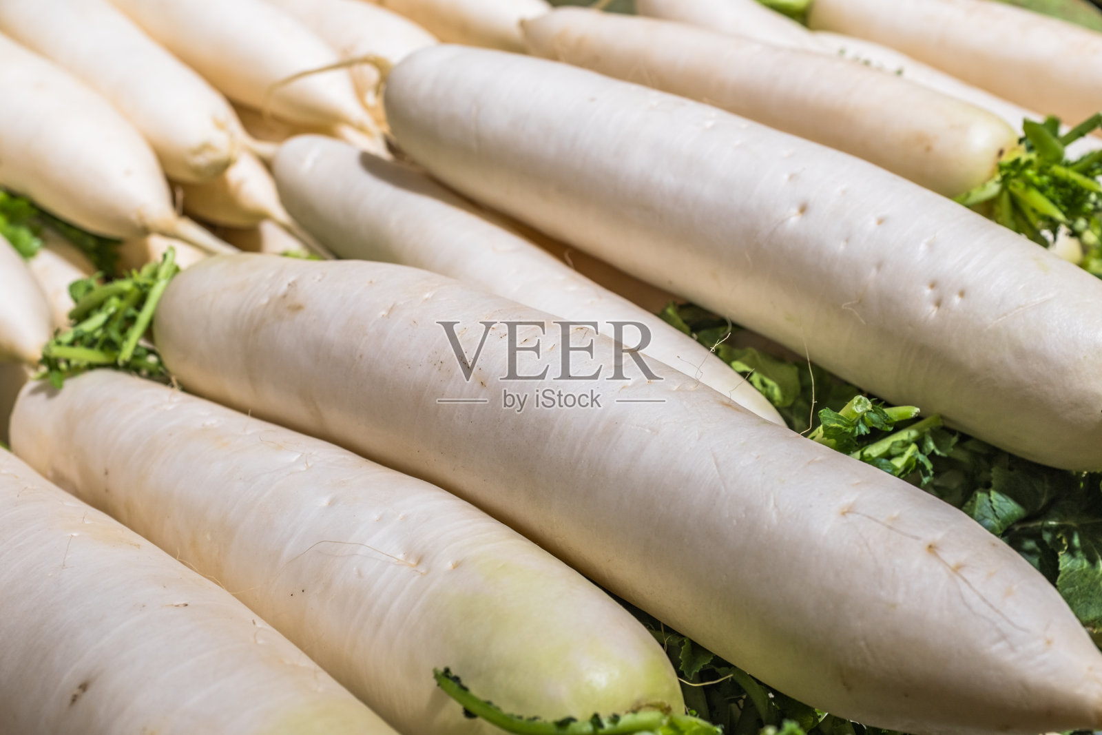 成堆的白萝卜照片摄影图片