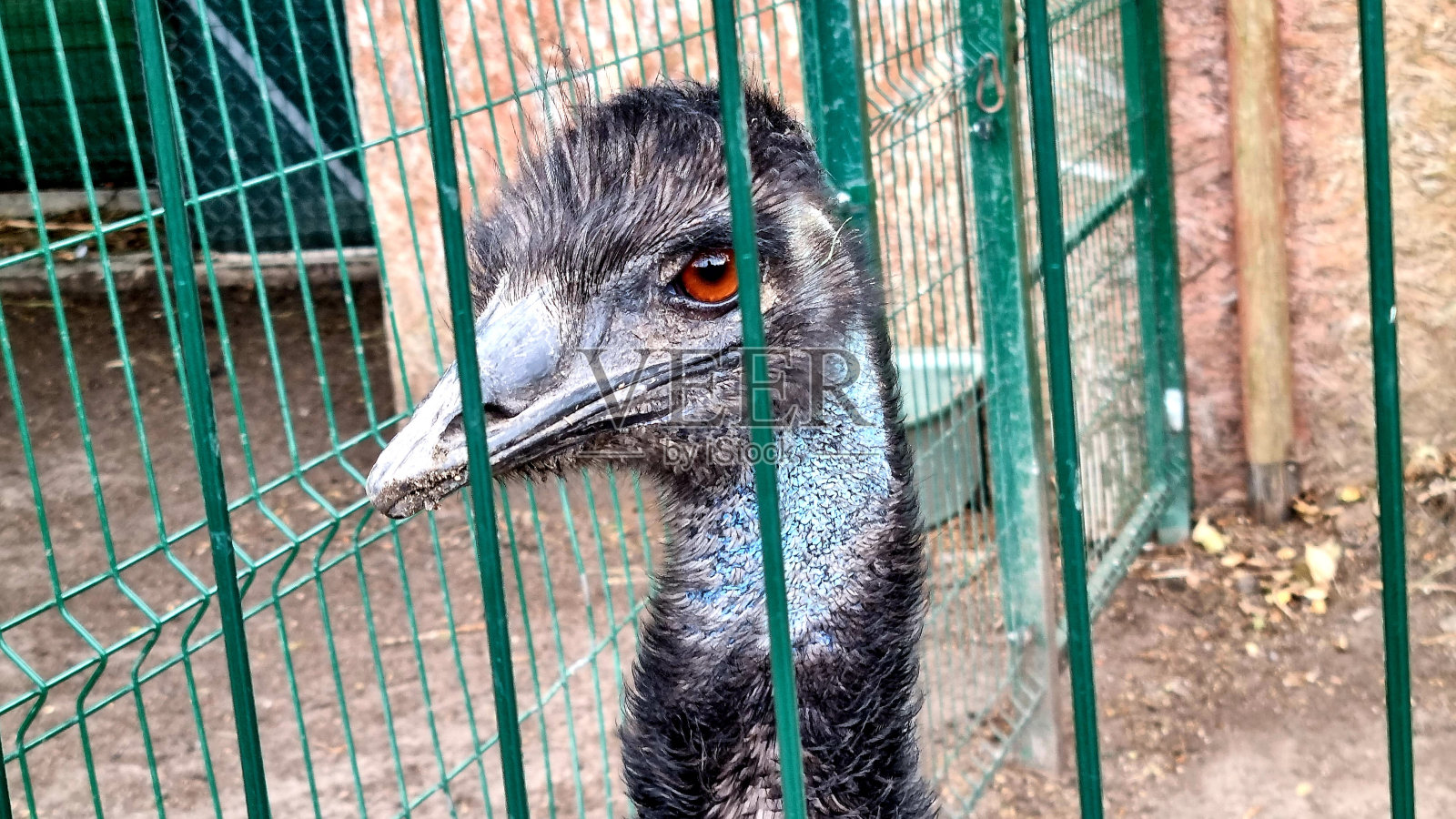 波兰之旅照片摄影图片