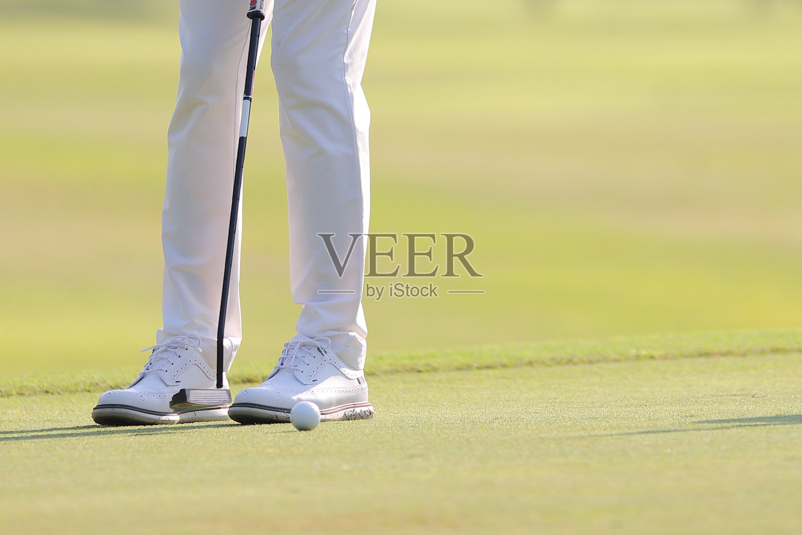 年轻的男性高尔夫球手在高尔夫球场照片摄影图片