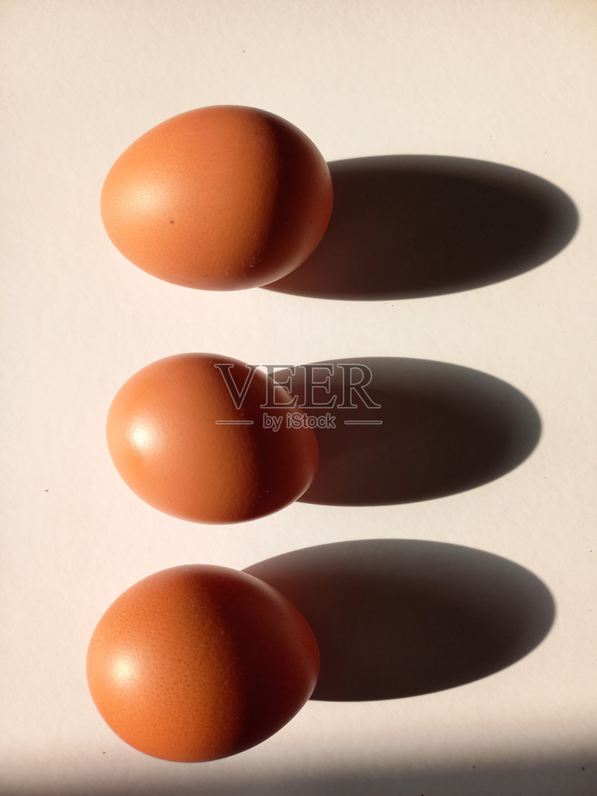 鸡蛋的影子特写照片摄影图片