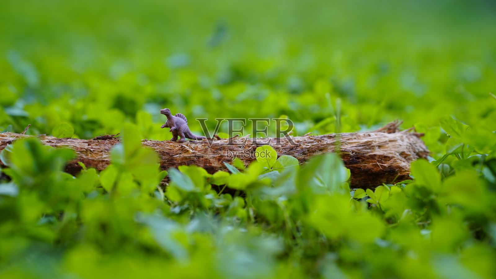 玩具恐龙雷克斯站在树干上，背景是绿色的草地照片摄影图片
