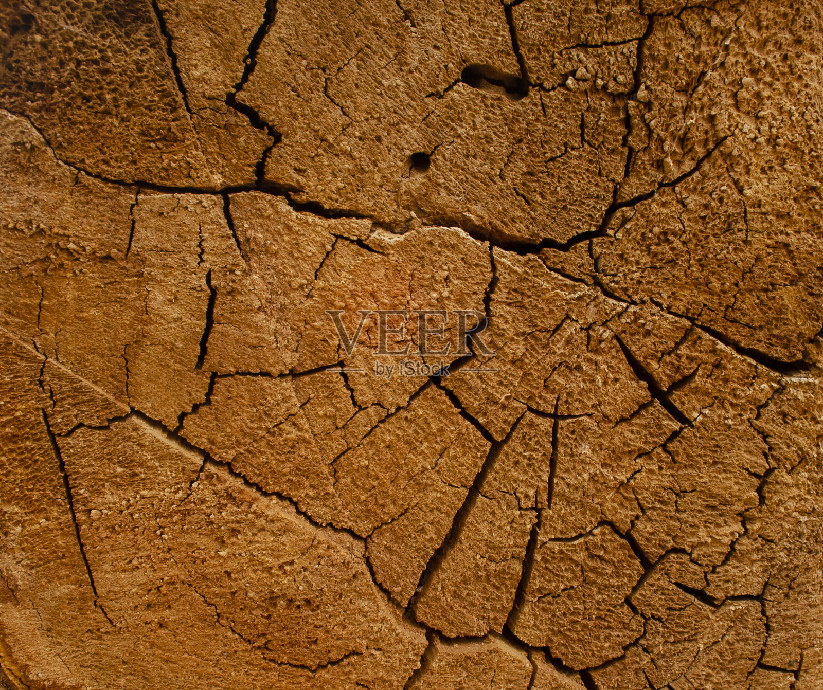 漂亮的树干，年轮和裂缝。木质纹理背景照片摄影图片