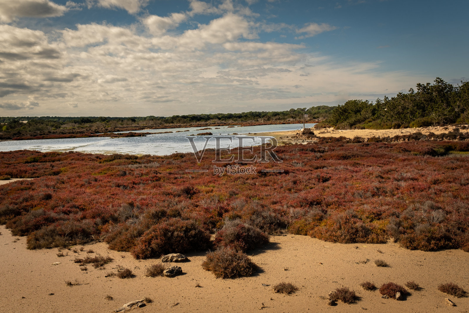 盐滩自然公园。Formentera照片摄影图片