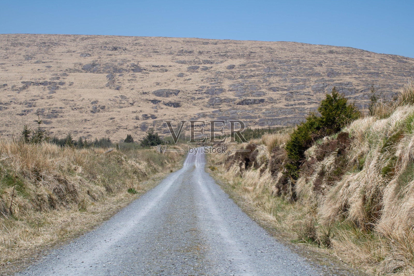 沿着一条古老的伐木路，通往爱尔兰西科克的一个卫星塔照片摄影图片