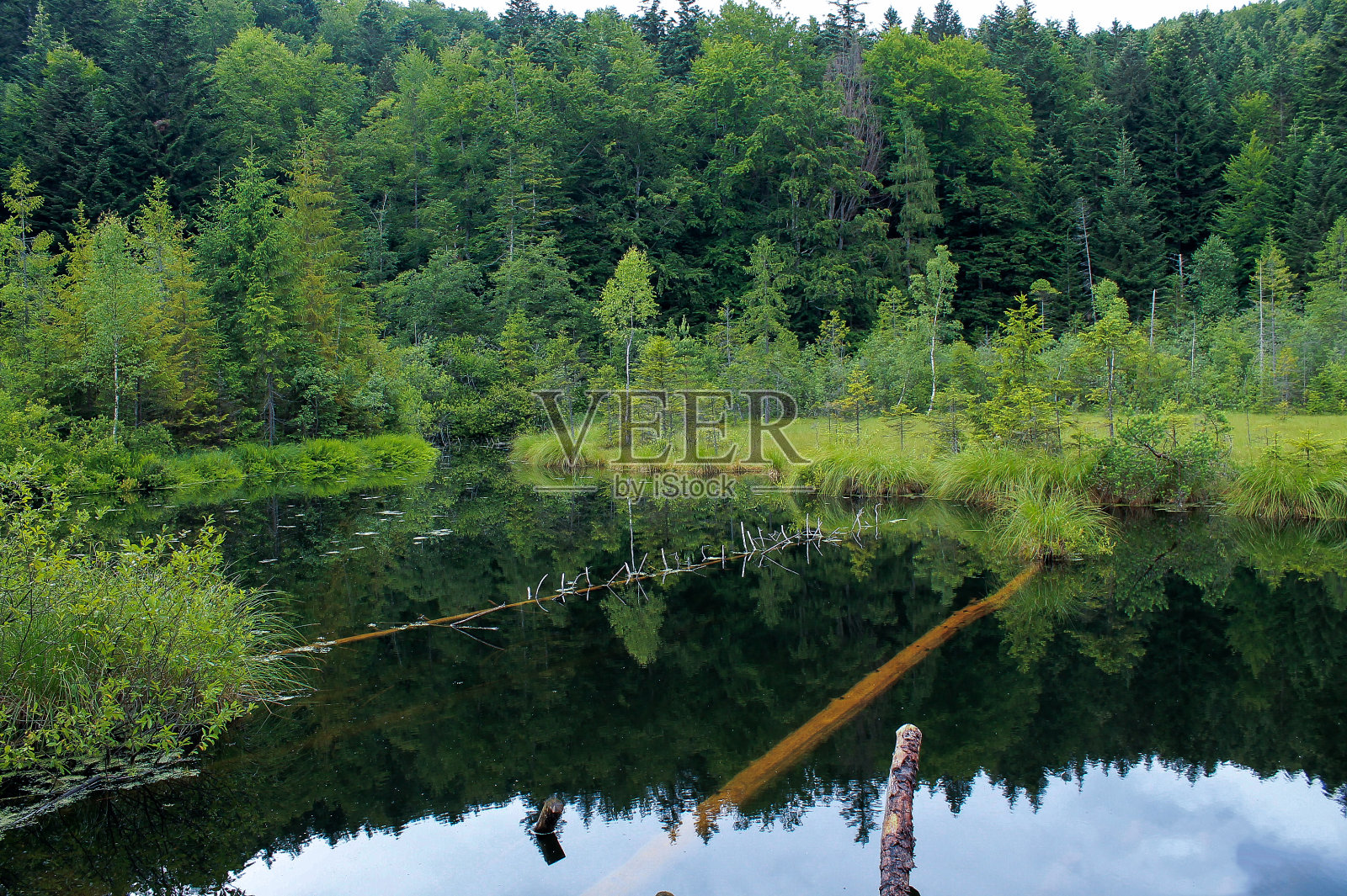 乌克兰西部跨卡尔帕西亚山区的湖泊。照片摄影图片