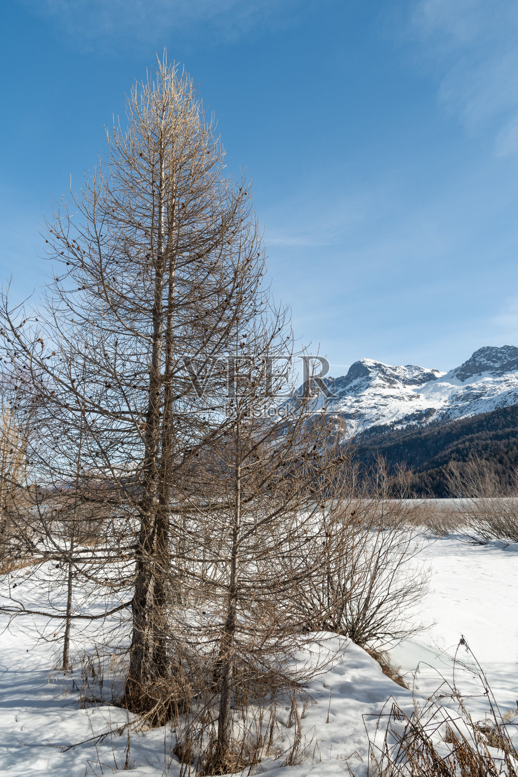 瑞士西尔瓦普拉纳冰湖上美丽的冬季全景照片摄影图片