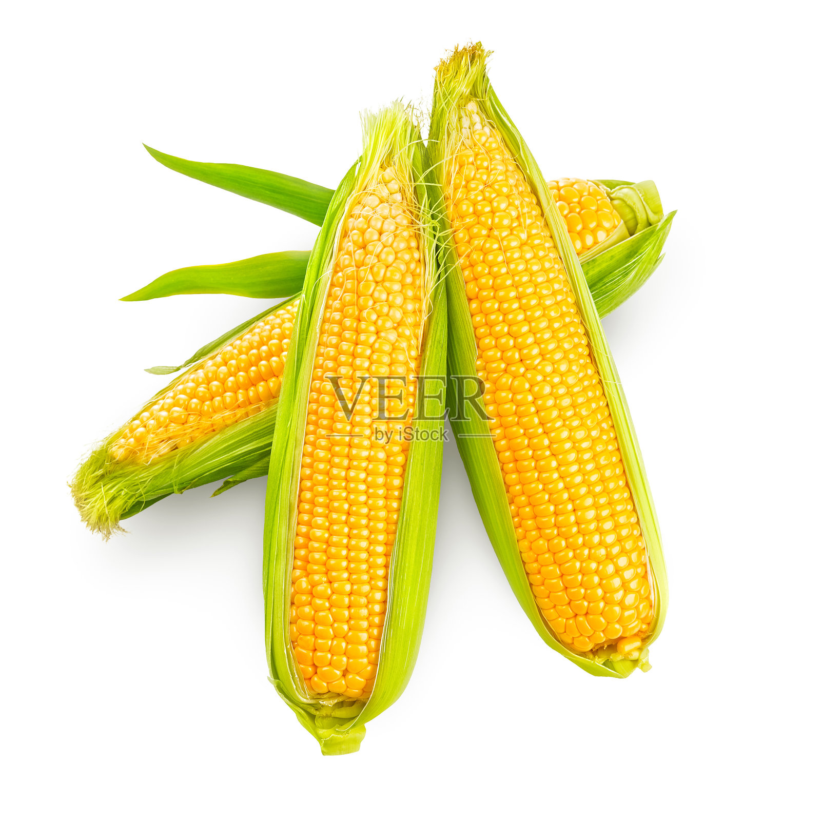 带绿叶的成熟玉米棒照片摄影图片