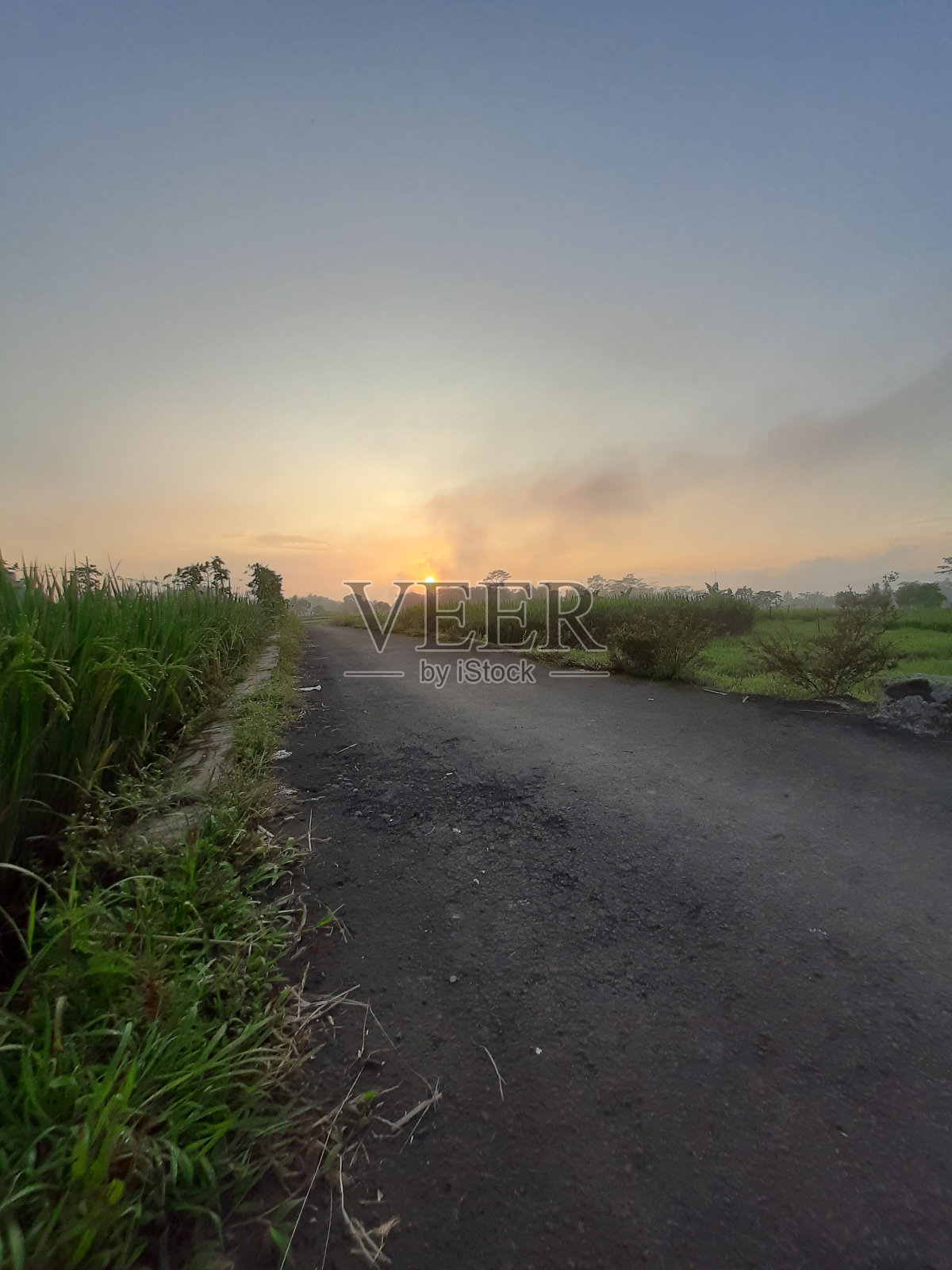日出照片摄影图片
