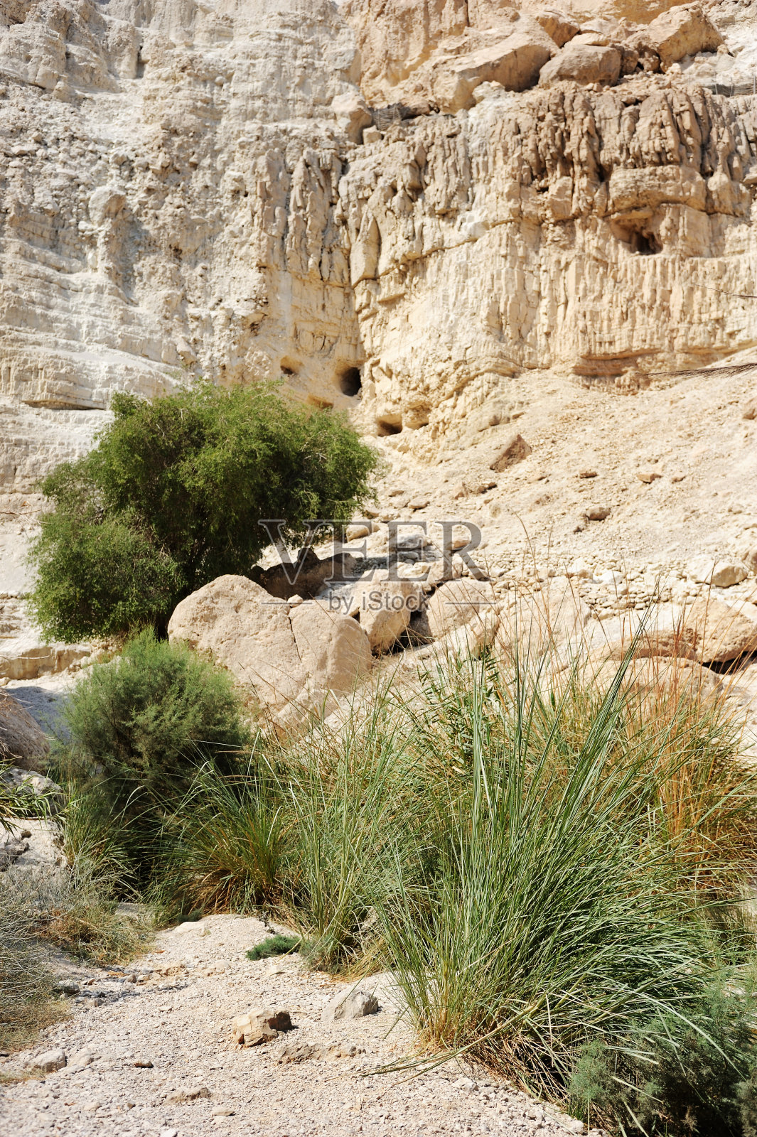死海山脉照片摄影图片
