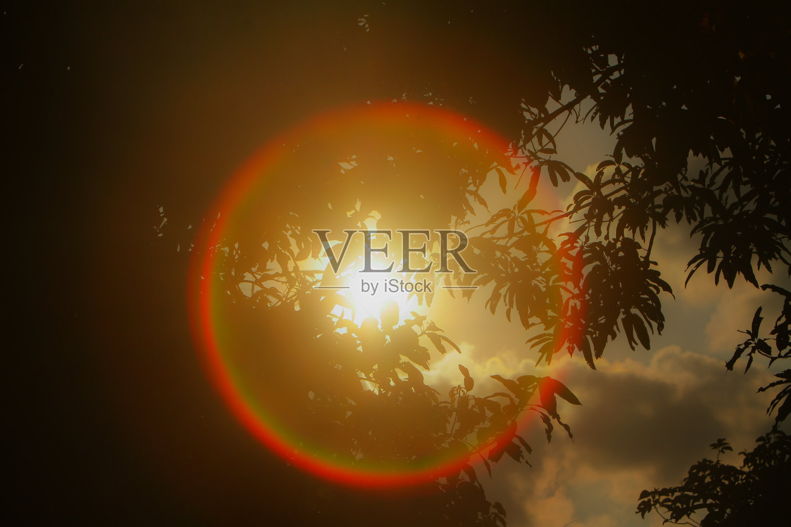 圆照片摄影图片