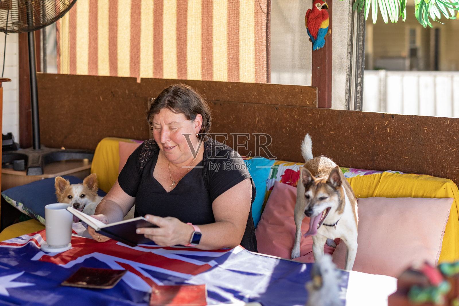 快乐的成熟女人在家和她的狗一起阅读照片摄影图片